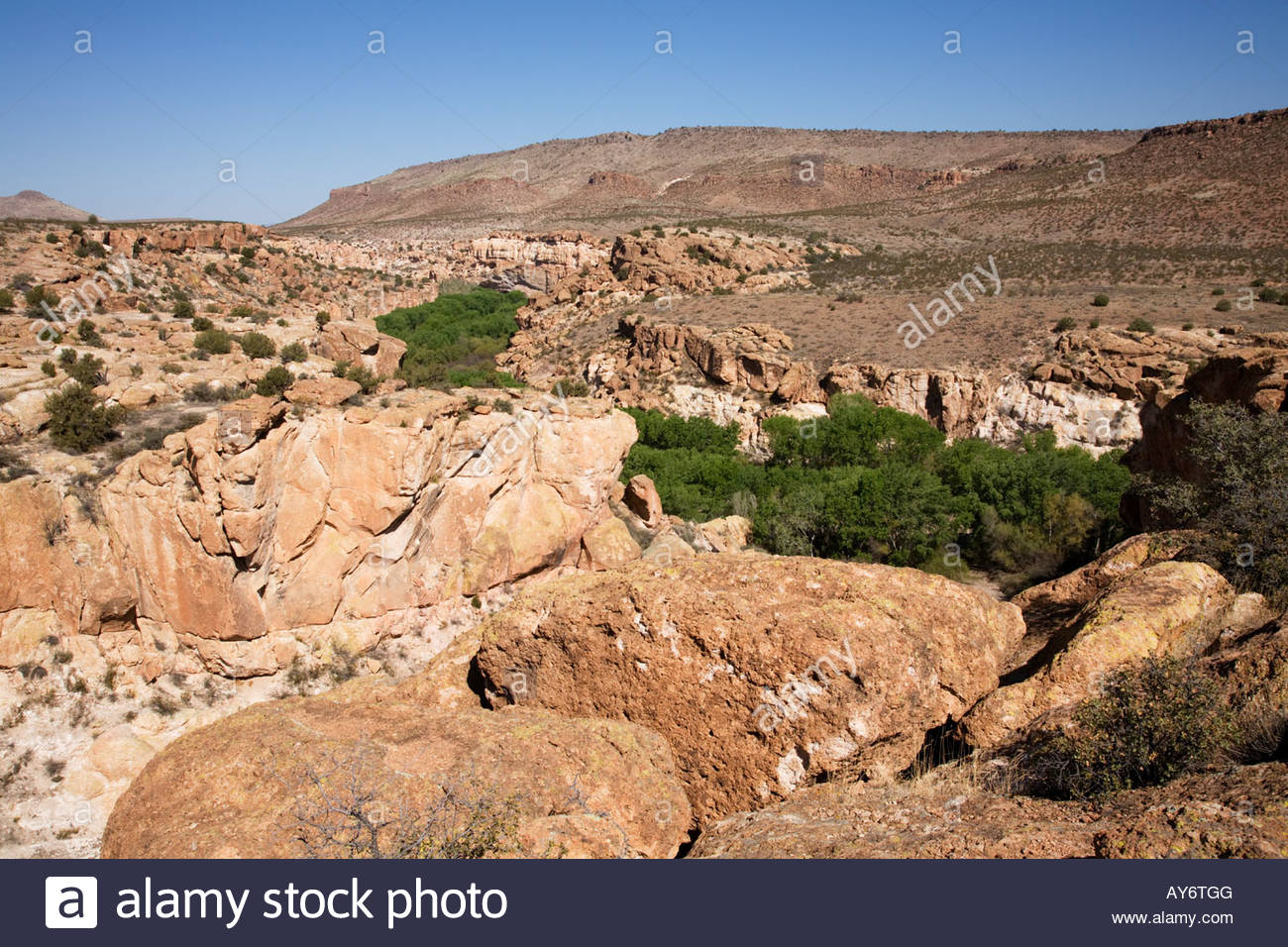 Desert Riparian High Resolution Stock Photography and Images - Alamy