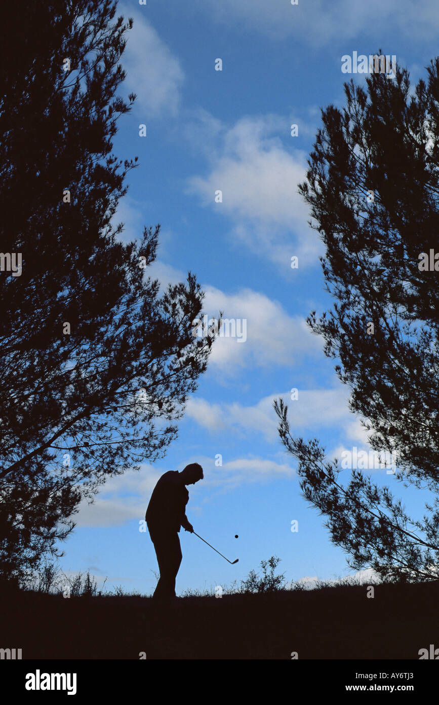 Man chipping golf ball from the rough Stock Photo Alamy