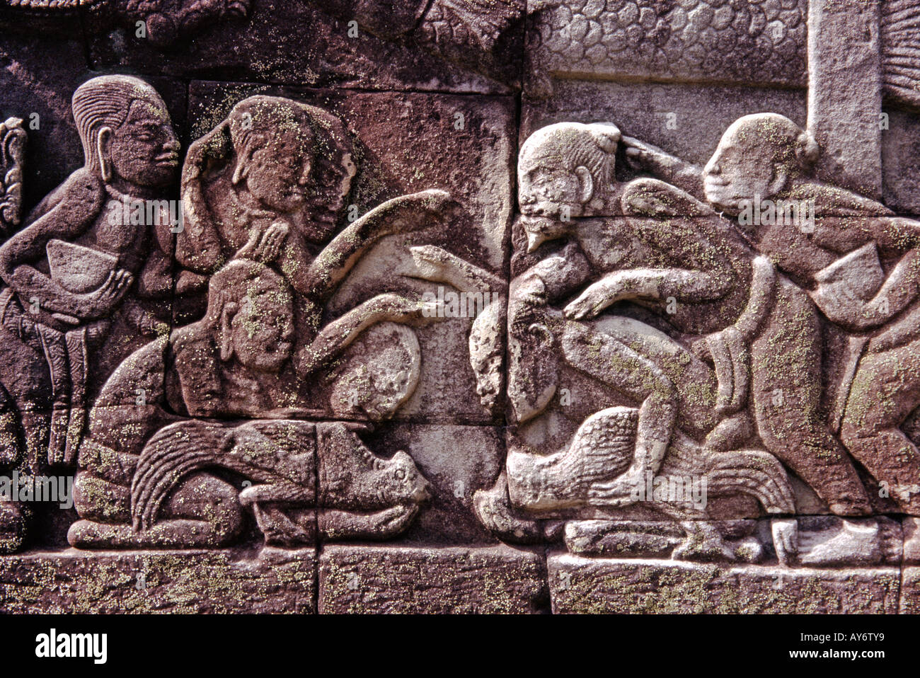 Bas relief carving of cock fighting at the Bayon at the Angkor Wat site in Cambodia Stock Photo - Alamy