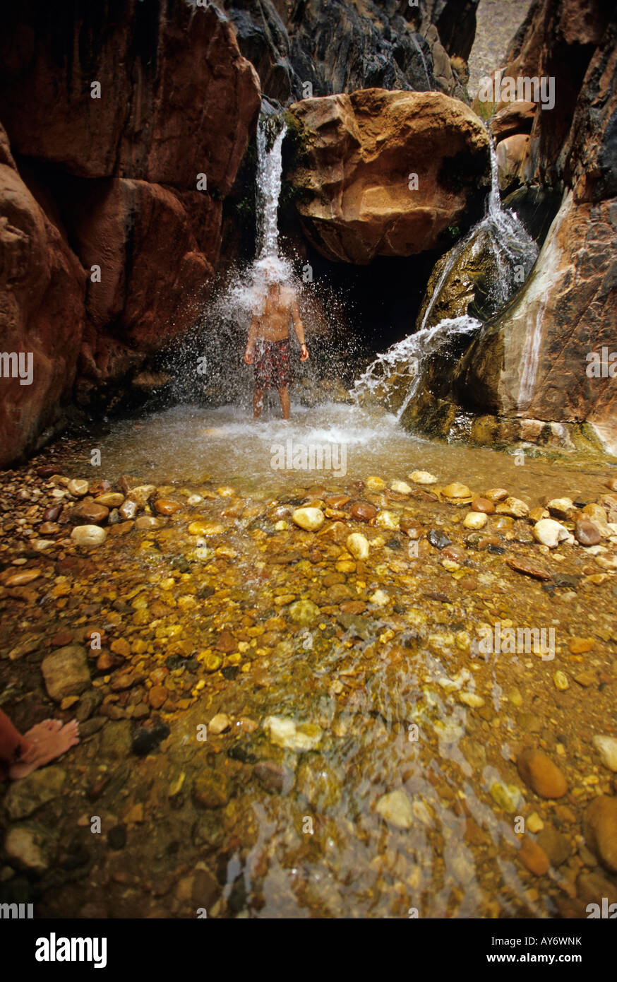 Dave Wolf under Shinumo Creek, Grand Canyon, Arizona Stock Photo - Alamy