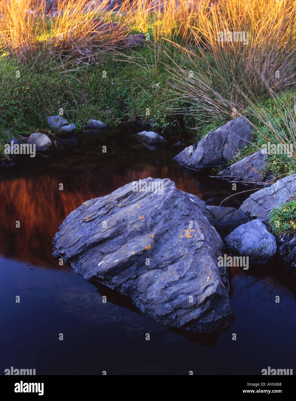 Rock Pool on the Coast at Sinclair Head North Island New Zealand Stock Photo