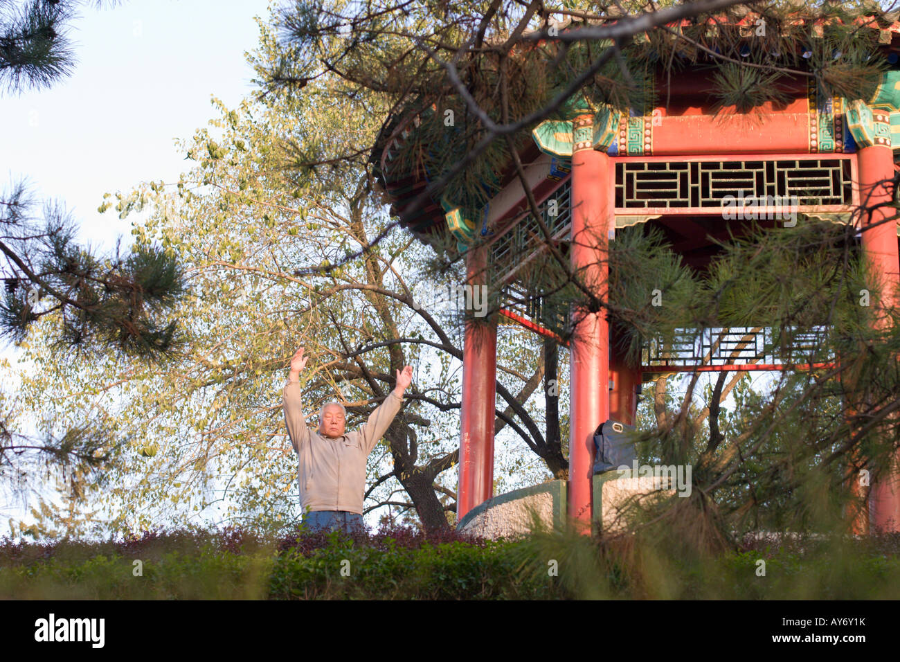 Beijing, a man in Ritan park doing qigong exercises Stock Photo