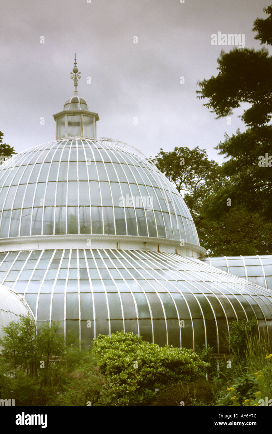 Scotland Glasgow Botanical Gardens plant house Stock Photo Alamy