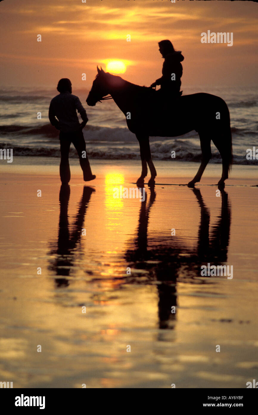 horse and rider in silhouette at sunset at the beach along the ...