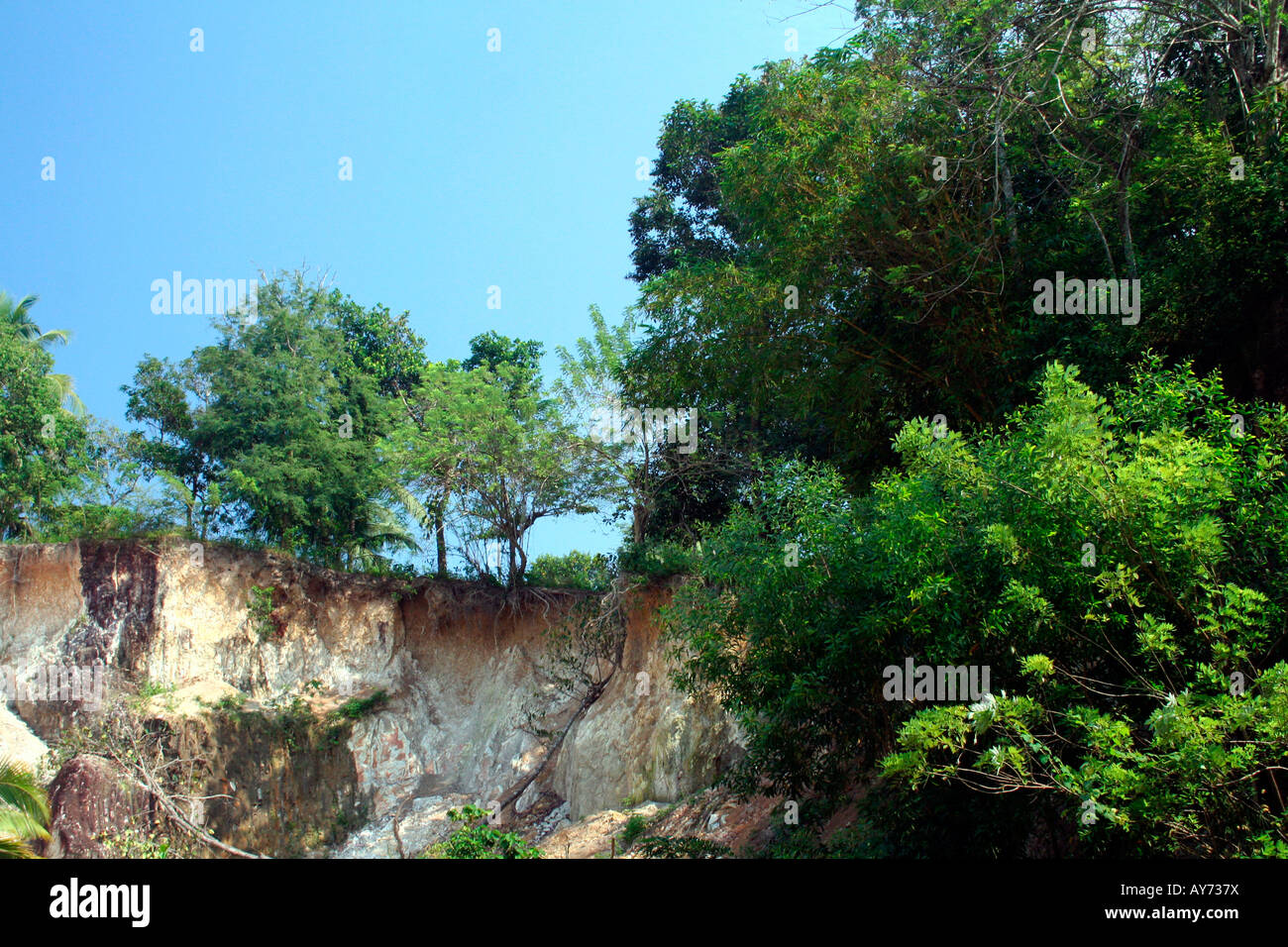 Trees on top of a cliff overlooking granite quarry against clear cloudless azure blue skies Stock Photo