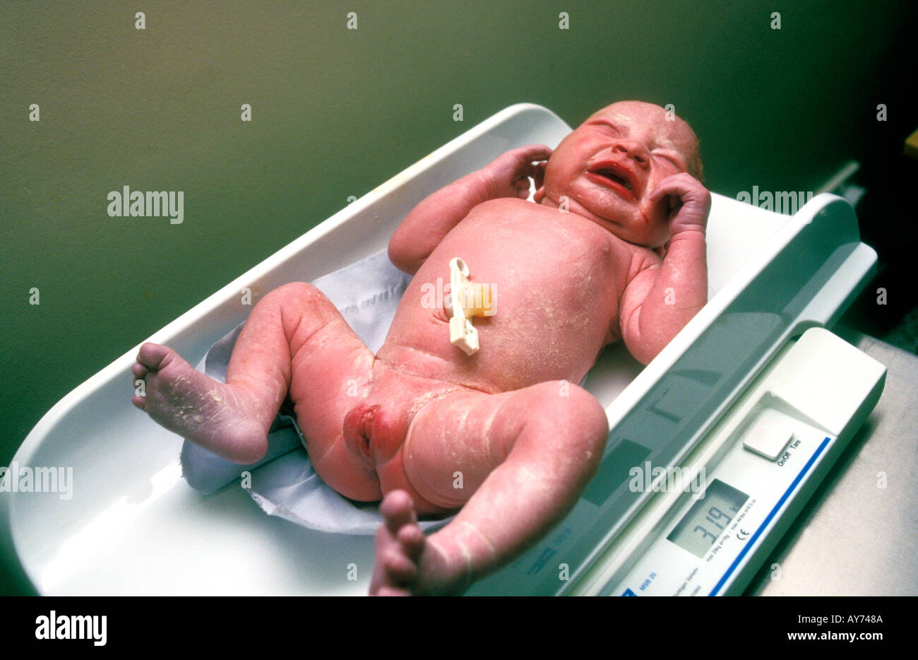 Crying newborn baby being weighed. Stock Photo