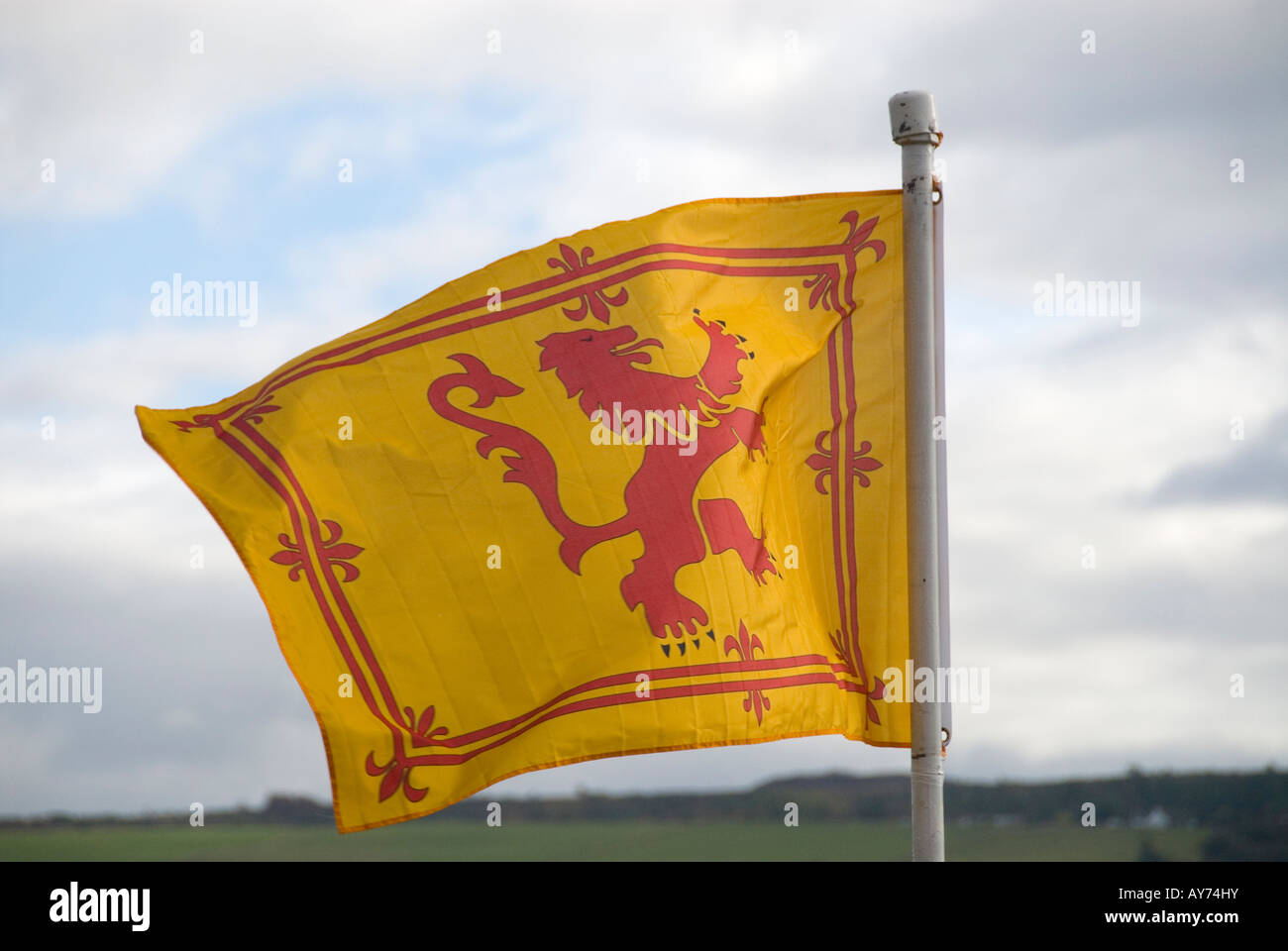 Scotland Lion Rampant Wavy Flag Pin Badge