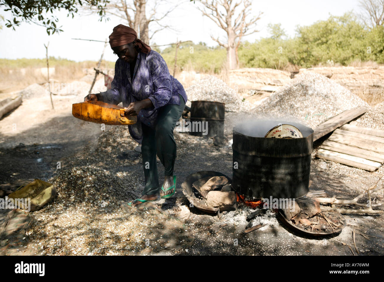 Shells africa hi-res stock photography and images - Alamy