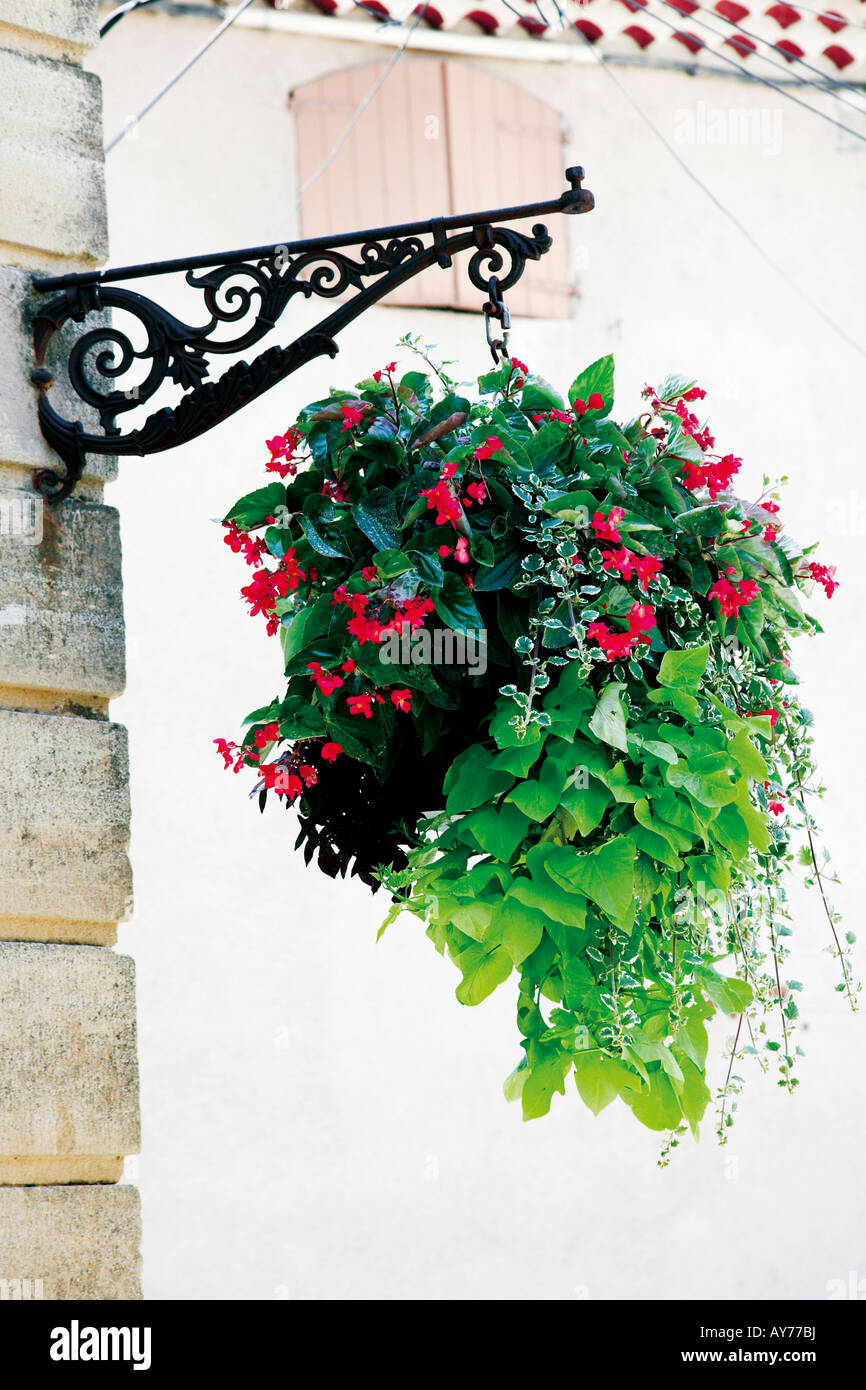Hanging garden ornaments hi-res stock photography and images - Alamy