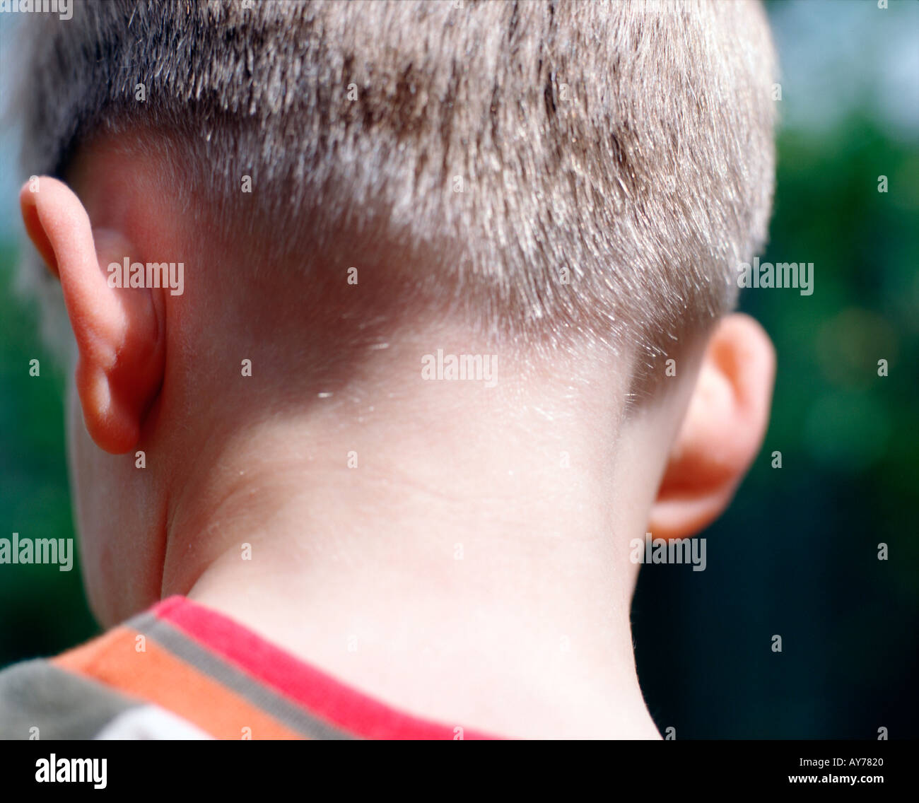 Back View Of Four Year Old Boys Head After Haircut Stock