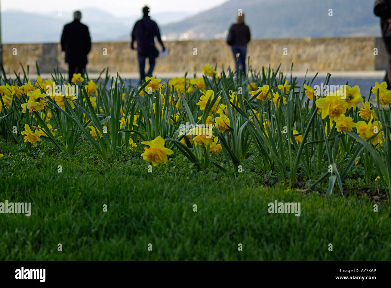 Flowers of a garden with people walking Stock Photo