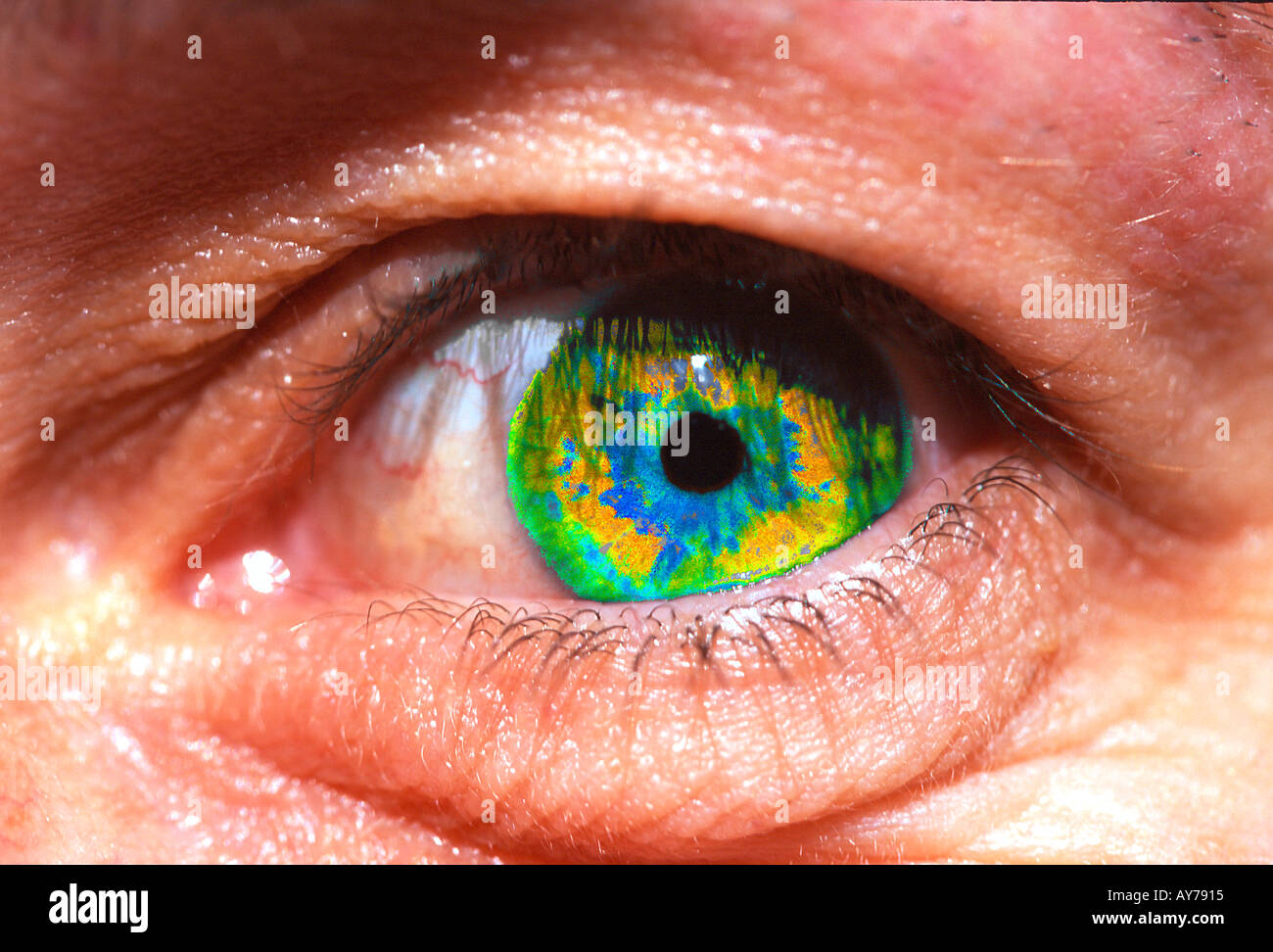 Green Eye Stock Photo