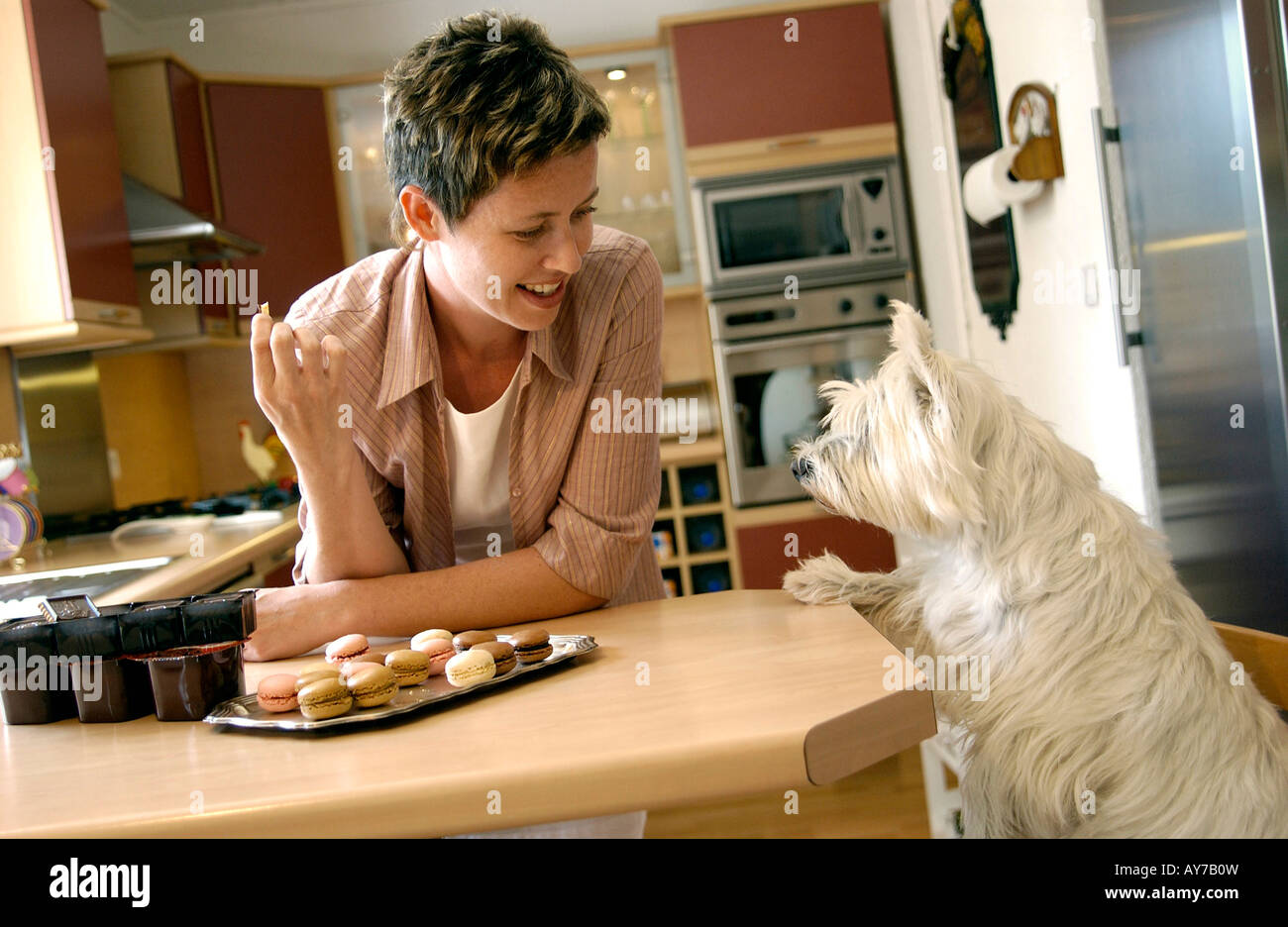 Woman and her dog in the kitchen Stock Photo