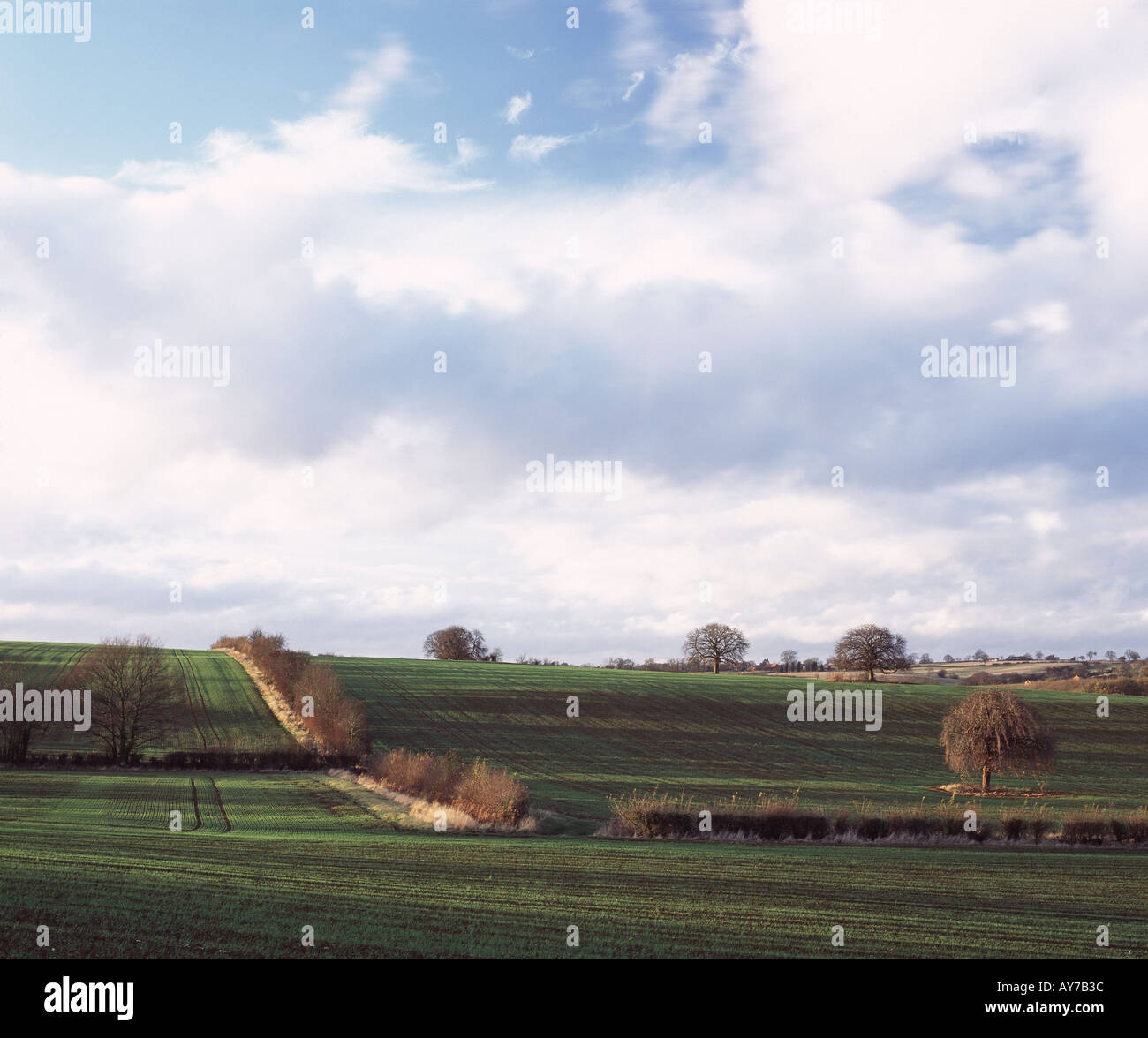 Ravensthorpe northamptonshire hires stock photography and images Alamy