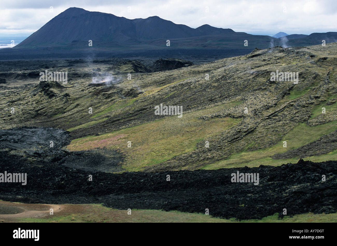 Lava Field In The Area Of Krafla Myvatn Islande Stock Photo Alamy