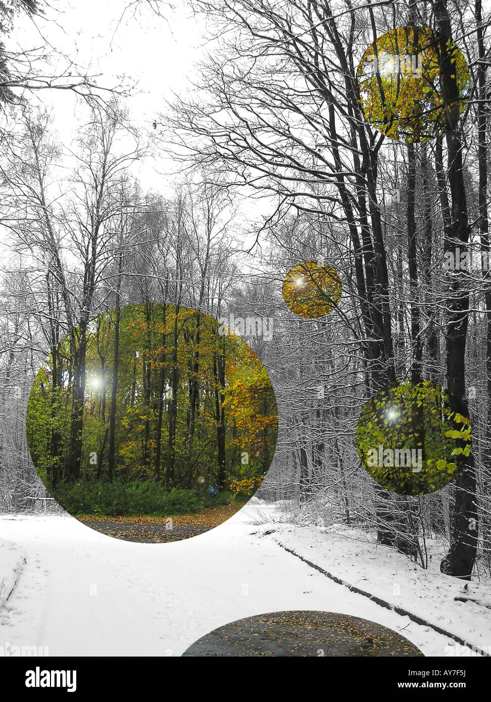 The balls frames in perspective mixing green (autumn) park and grey park (winter) Stock Photo
