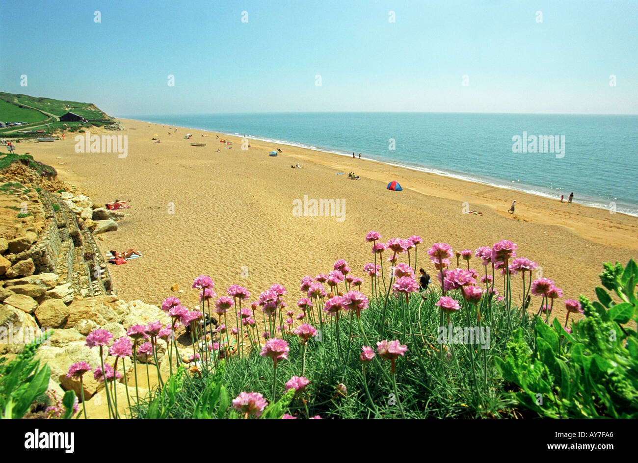 Seatown Beach in Dorset Britain UK Stock Photo Alamy