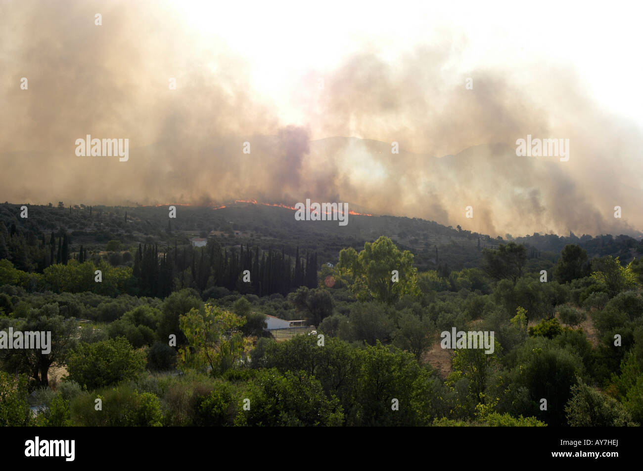 Wildfire in greece on 08 July 2007 Fire on Samos Island in the Area