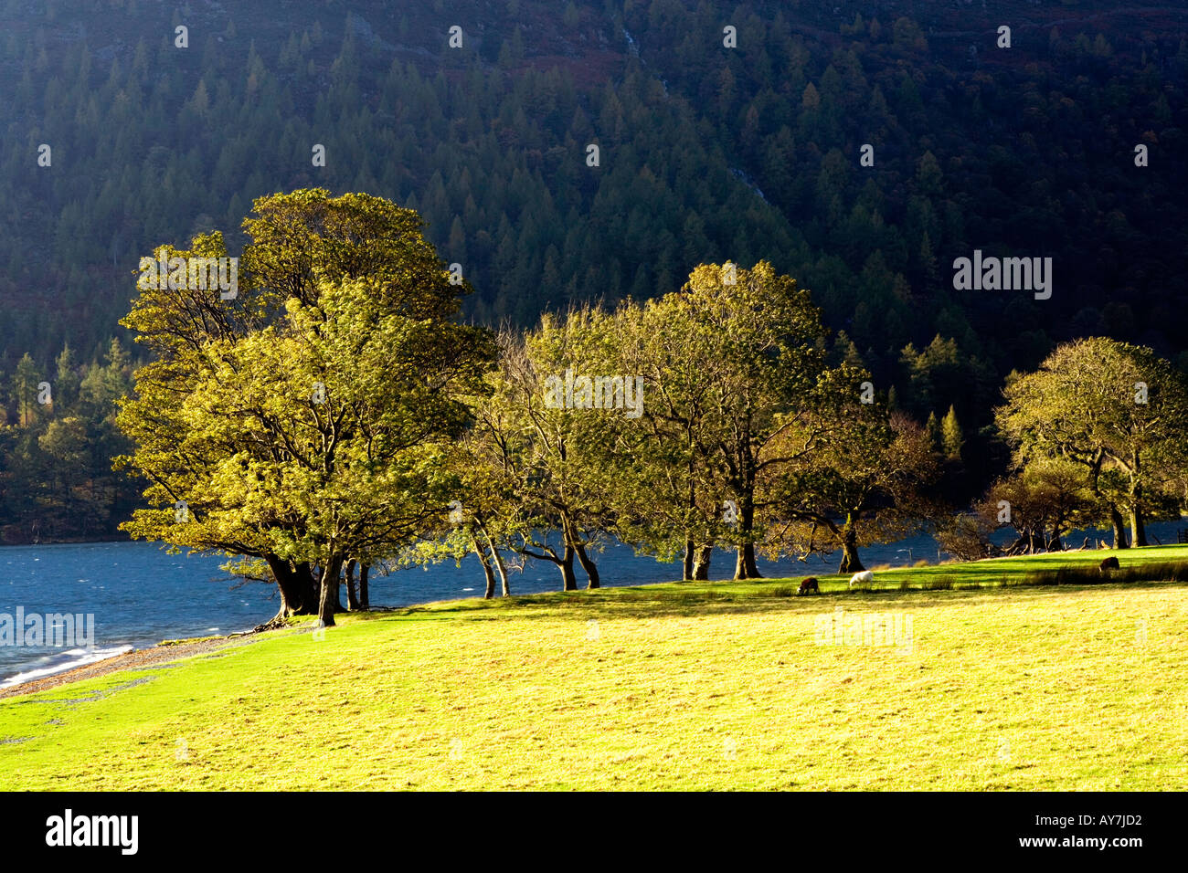 Buttermere, Lake District, Cumbria Stock Photo