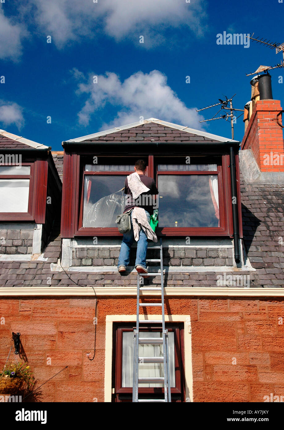 A window cleaner on a ladder cleans the top windows of a 2 storied