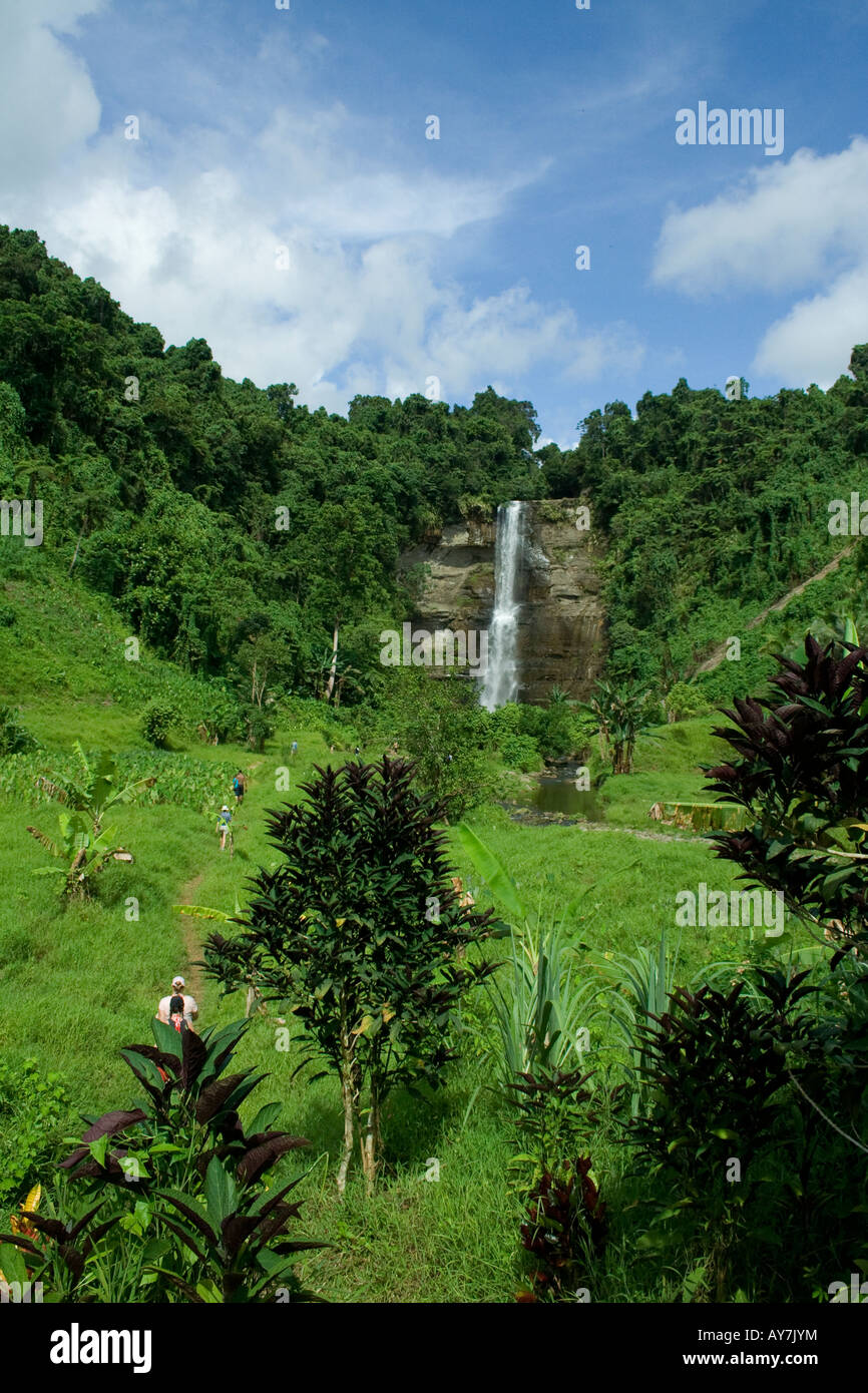 Fiji waterfall. Stock Photo