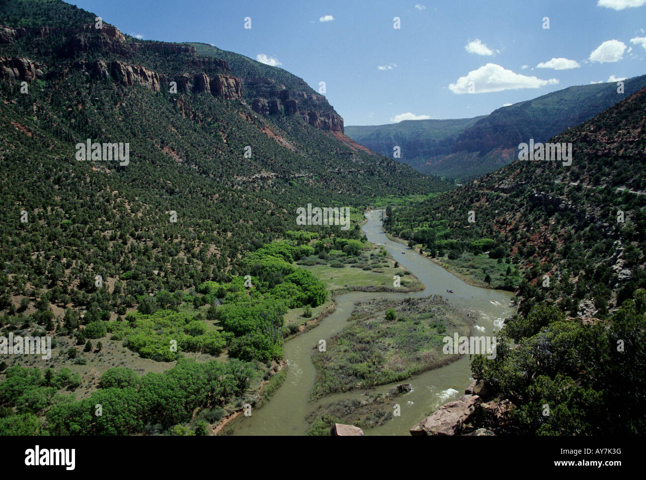 Boaters on the Dolores river Colorado Stock Photo Alamy