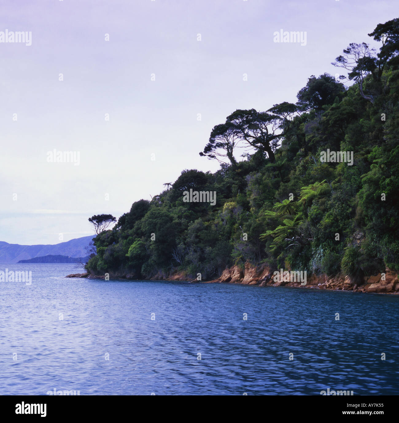 Ship Cove Start of the Queen Charlotte Track Queen Charlotte Sound