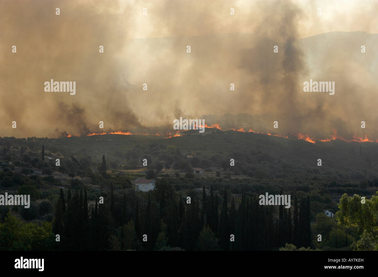 Wildfire in greece on 08 July 2007 Fire on Samos Island in the Area