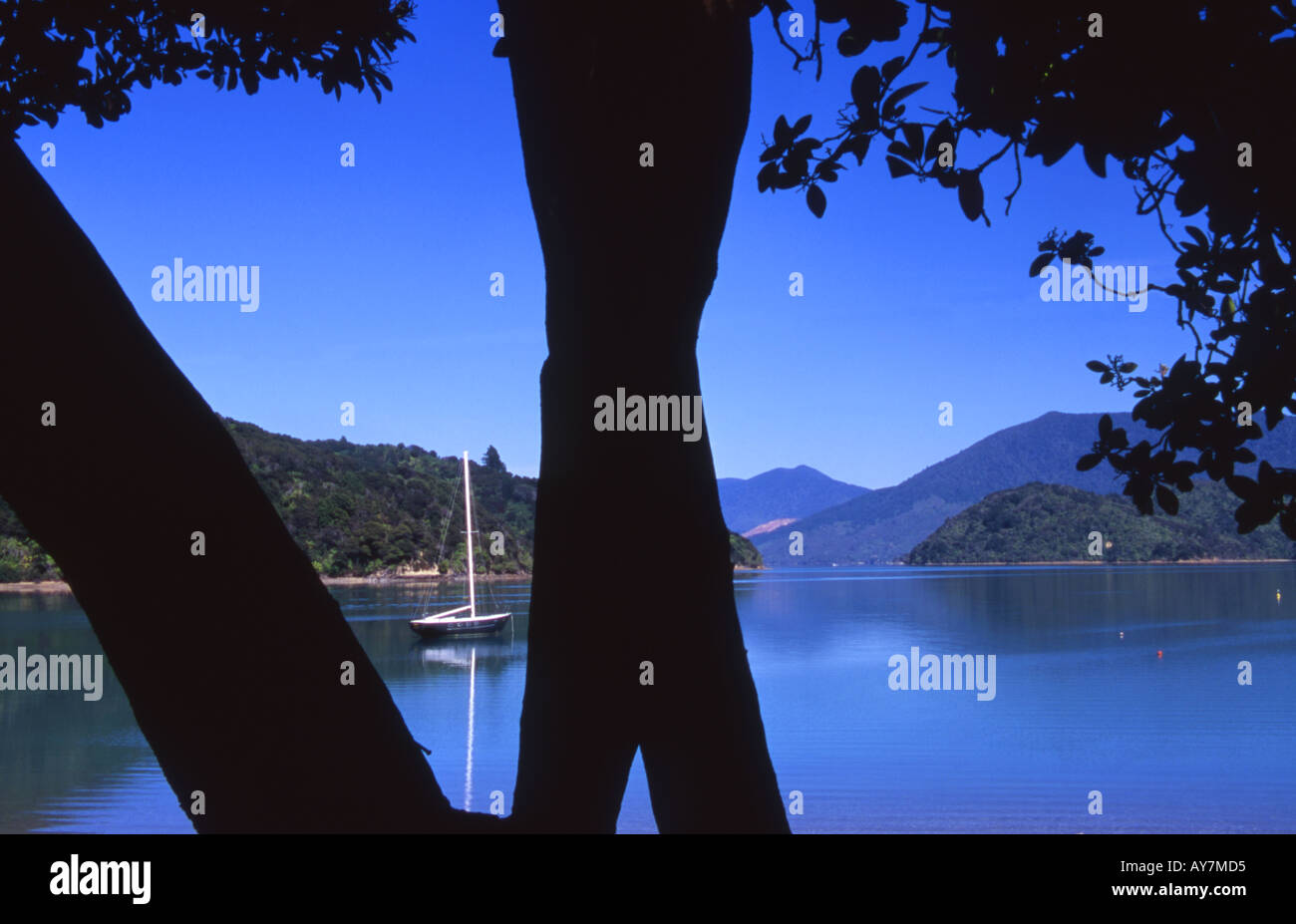 Yaught moored in Portage Bay Kenepuru Sound South Island New Zealand Stock Photo