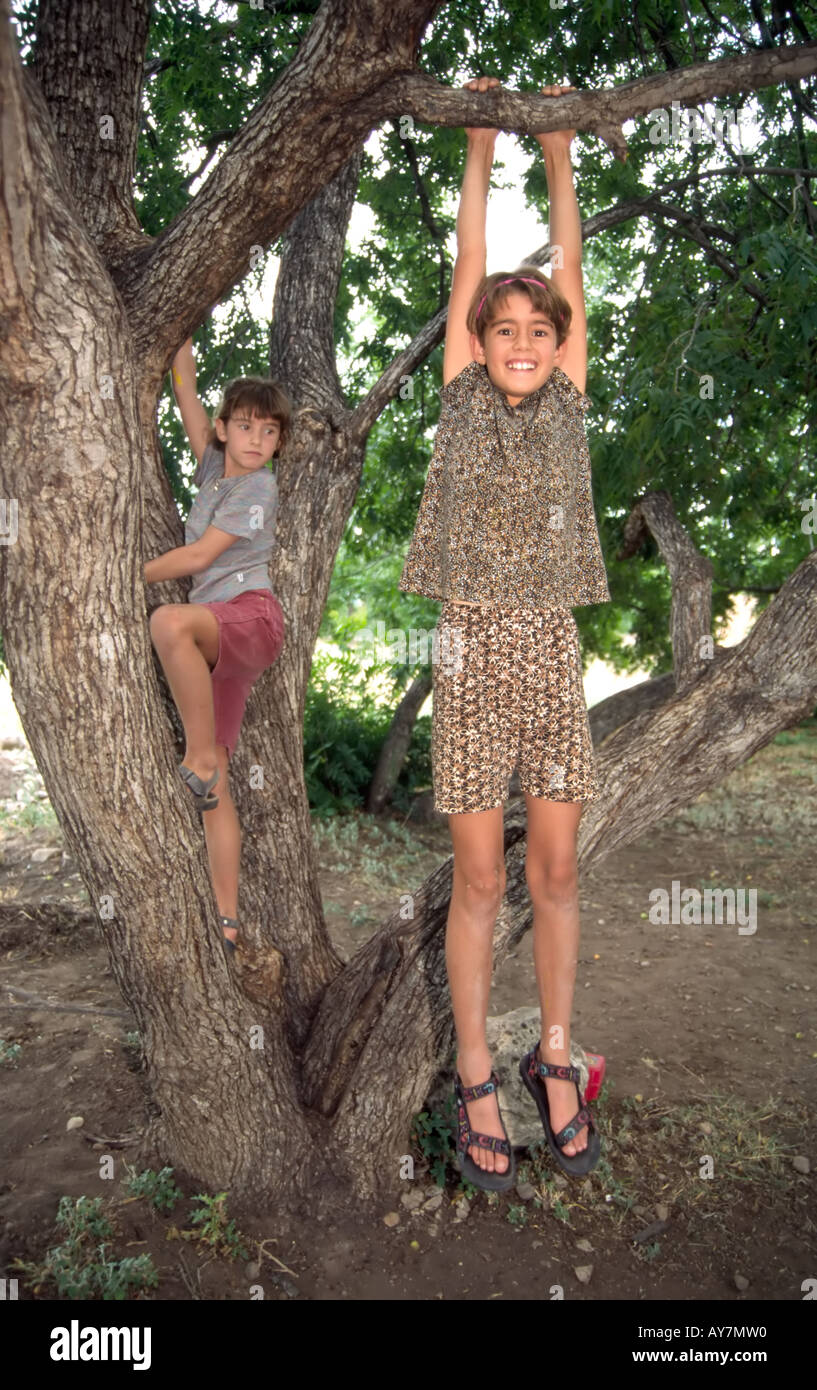 MR 534 Afton Sullivan does some tree climbing, while sister Hannah just hangs  around, at Fine Art Days in Lincoln, New Mexico. Stock Photo