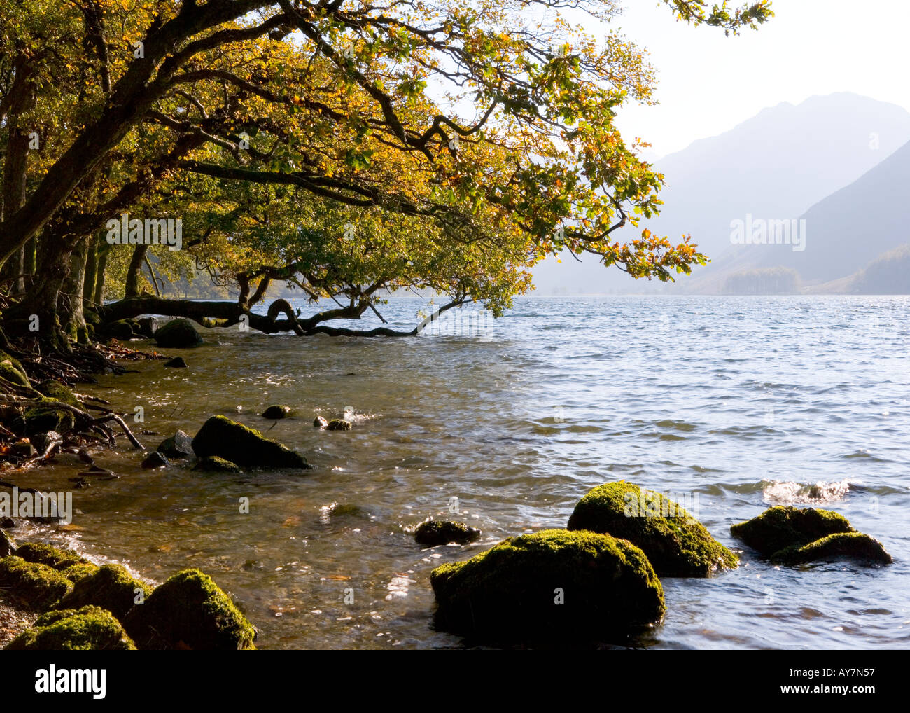 Buttermere, Lake District, Cumbria. The eastern shores of Buttermere in the Lake District, Cumbria in the autumn Stock Photo