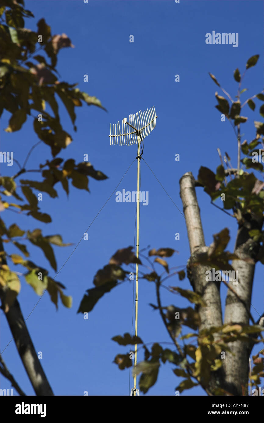 vertical image of antenna on tall pole hidden behind trees outdoors against clear blue sky Stock Photo