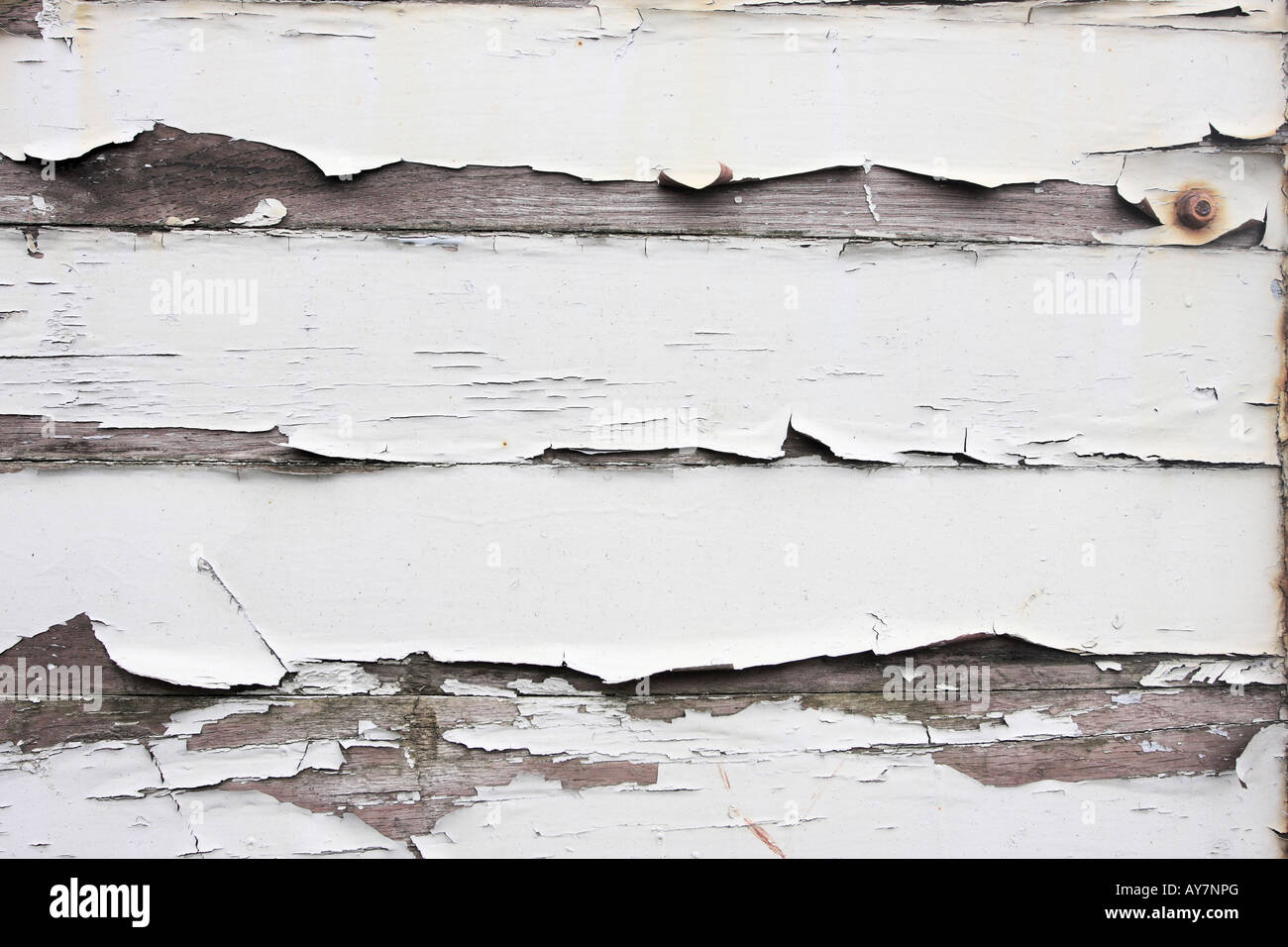 Old white paint peeling of wood perfect for designs or backgrounds Stock Photo