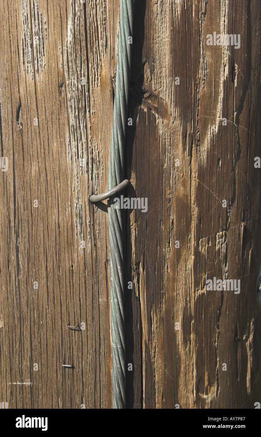vertical image of utility pole with grounding cable and staple Stock