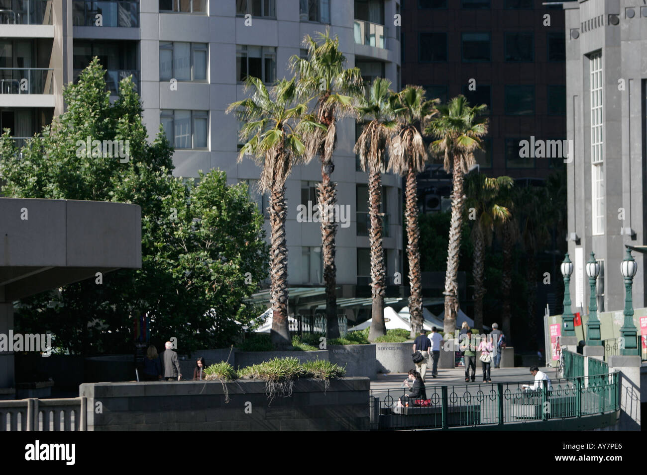 Palm trees line promenade at Southgate shopping and dining centre on