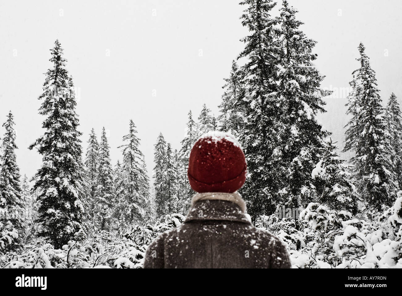 Woman in forest hi-res stock photography and images - Alamy
