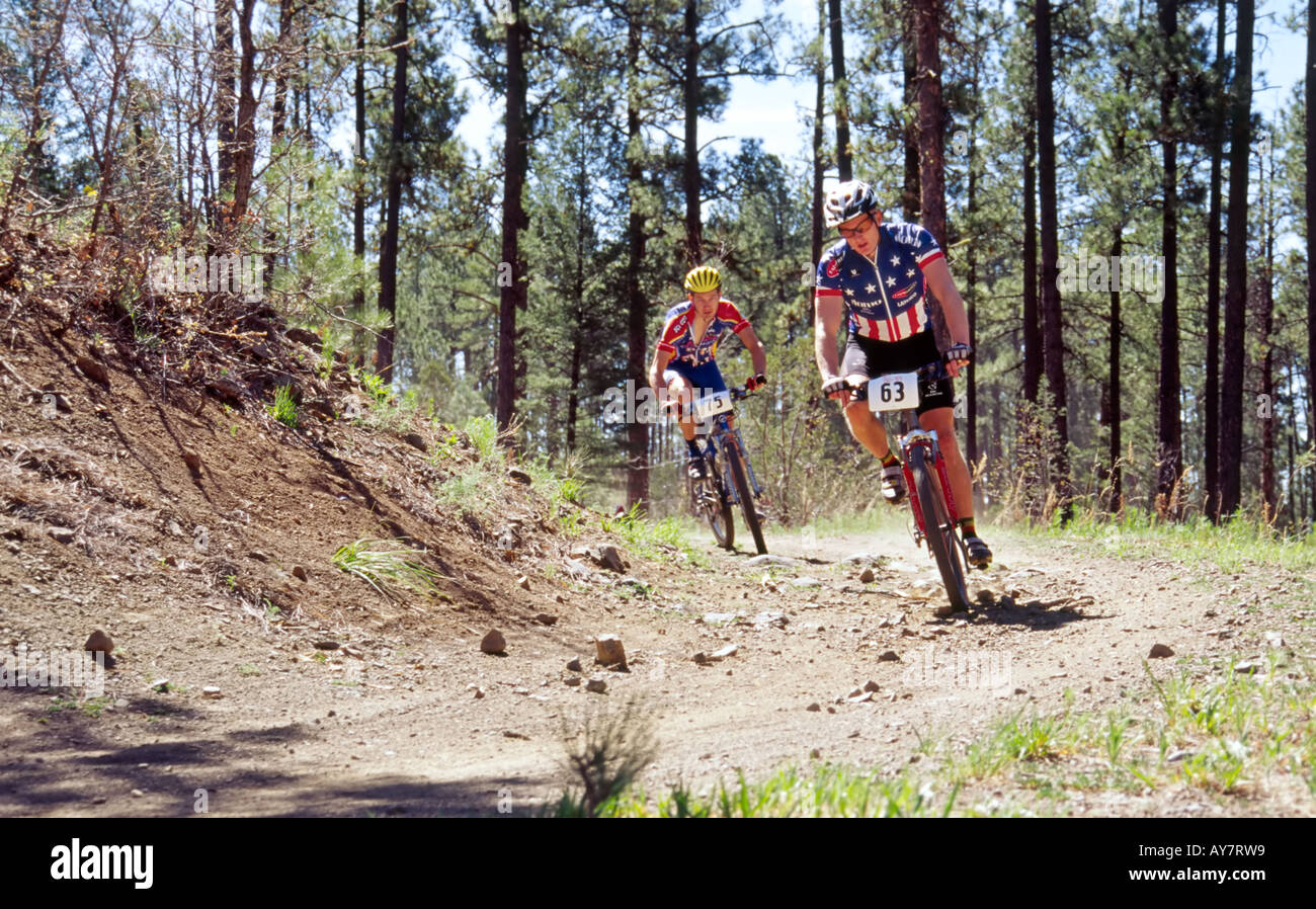 new forest mountain biking