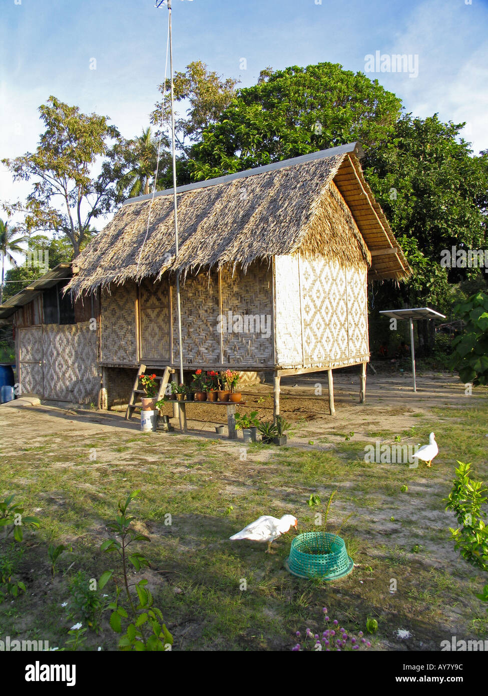 Thatch House Bungalow Traditional Stock Photos & Thatch ...