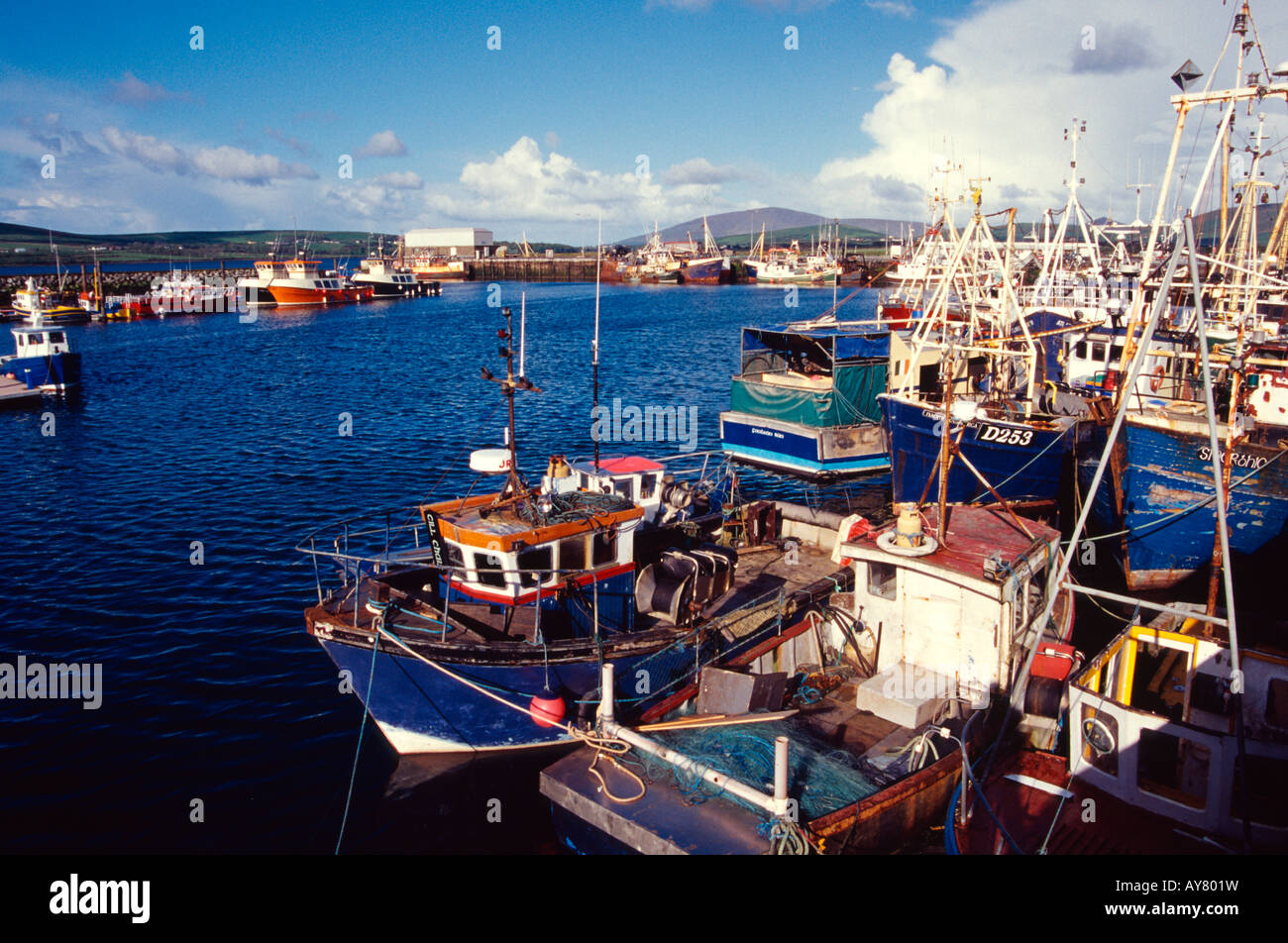 Dingle Harbour Fishing Boats Summer County Kerry Ireland Stock