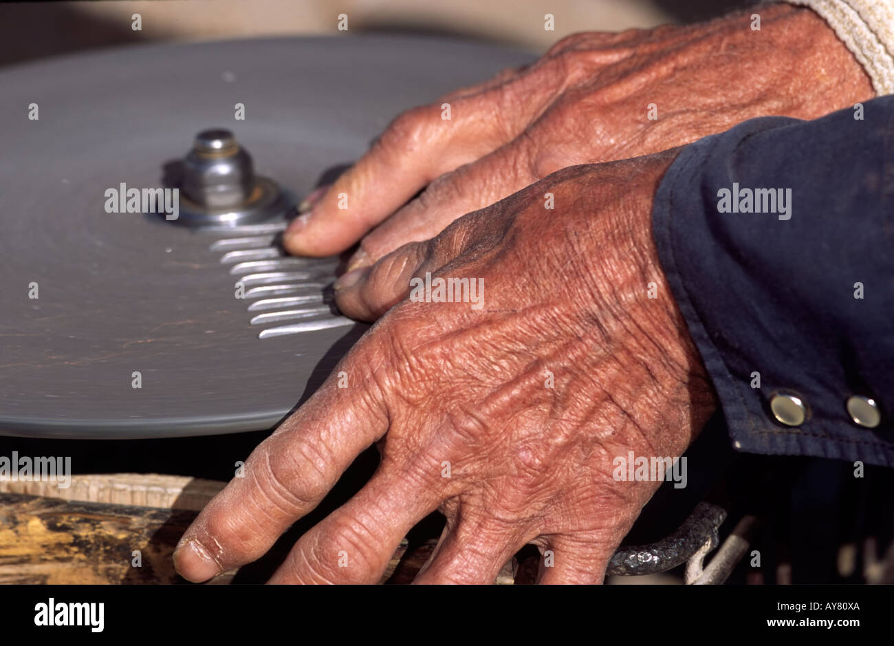 One must have sharp blades to shear sheep on the Bar-Guitar Ranch in the Hondo Valley, Picacho, New Mexico. Stock Photo