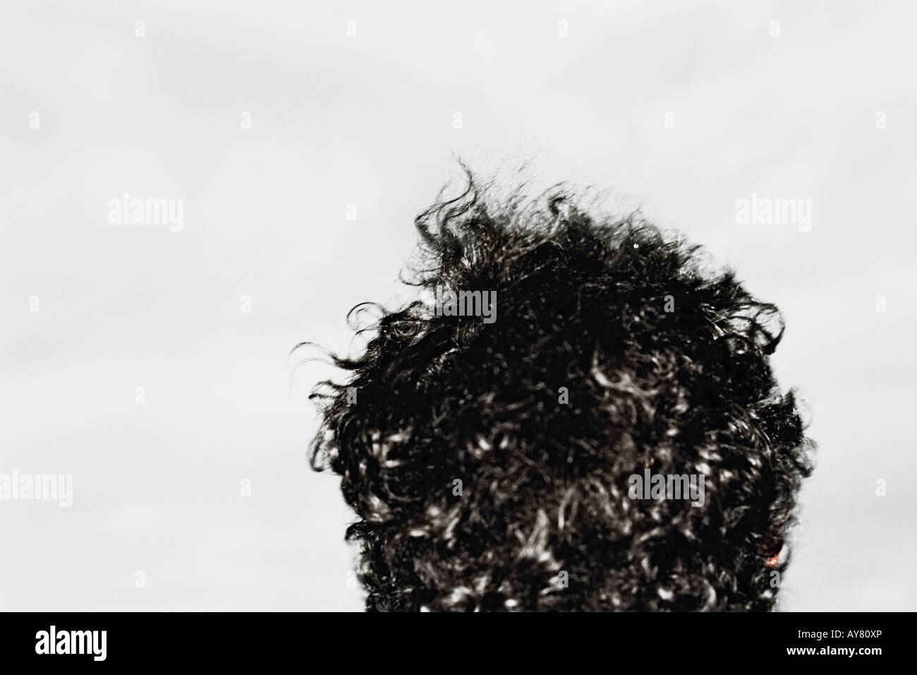 Unkempt Hair Stock Photos Unkempt Hair Stock Images Alamy