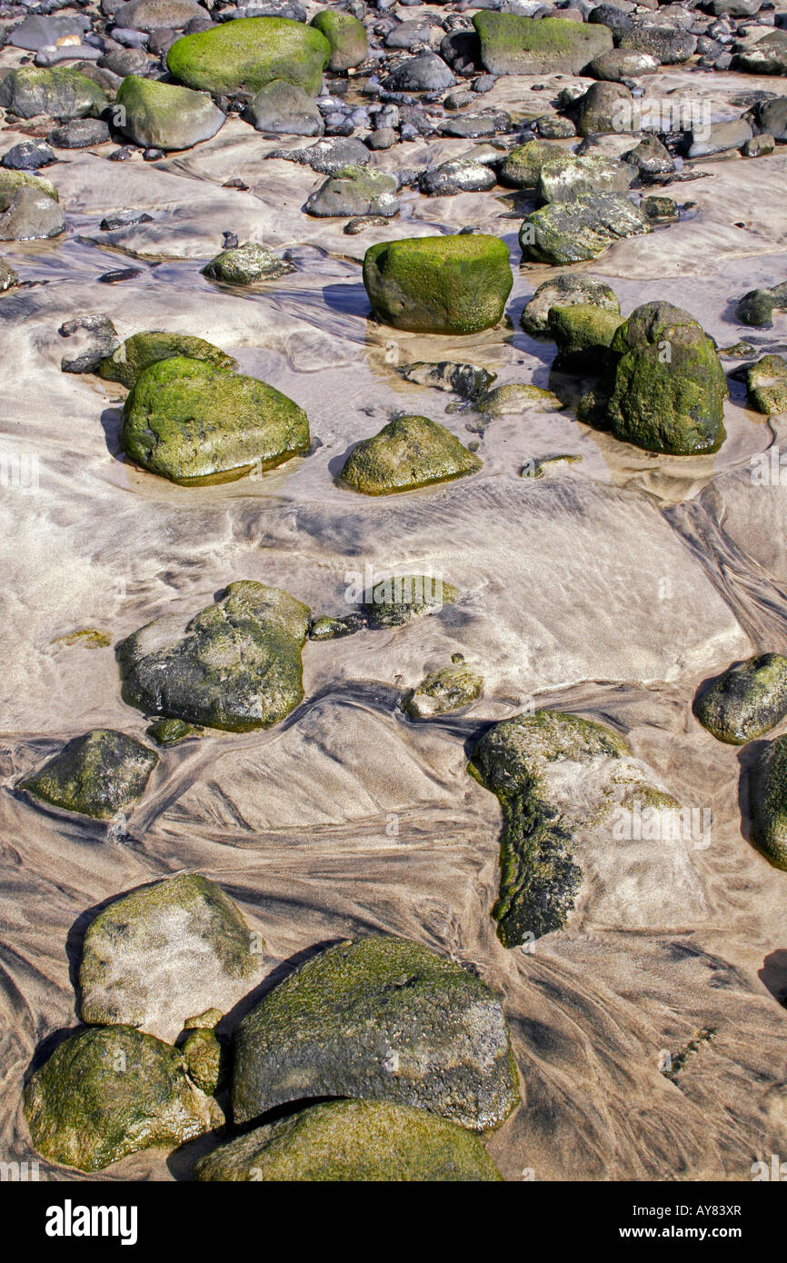 Slippery algae on rocks hi-res stock photography and images - Alamy