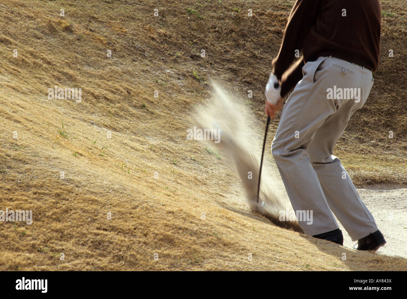 Golfer blasting out of sand trap Stock Photo Alamy