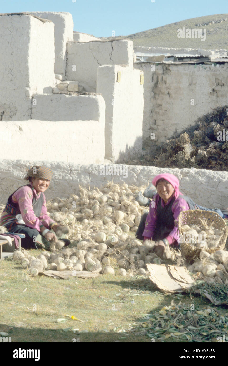 local women sitting among and peeling onions at Everest View Hotel at  Tingri in Tibet Stock Photo - Alamy