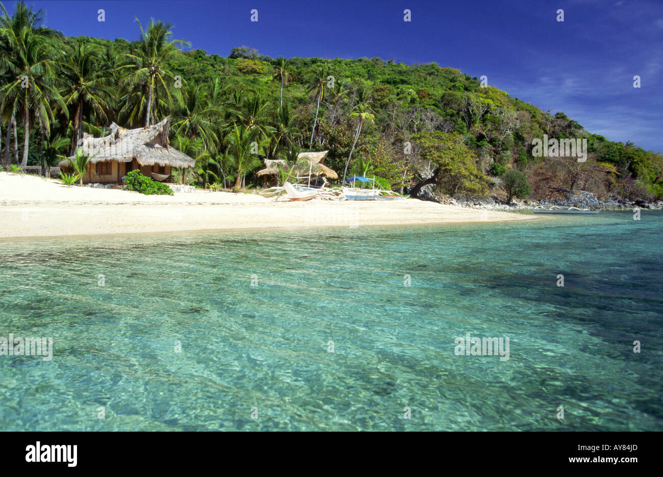 Philippines Palawan Flowers Island beach and Stock Photo
