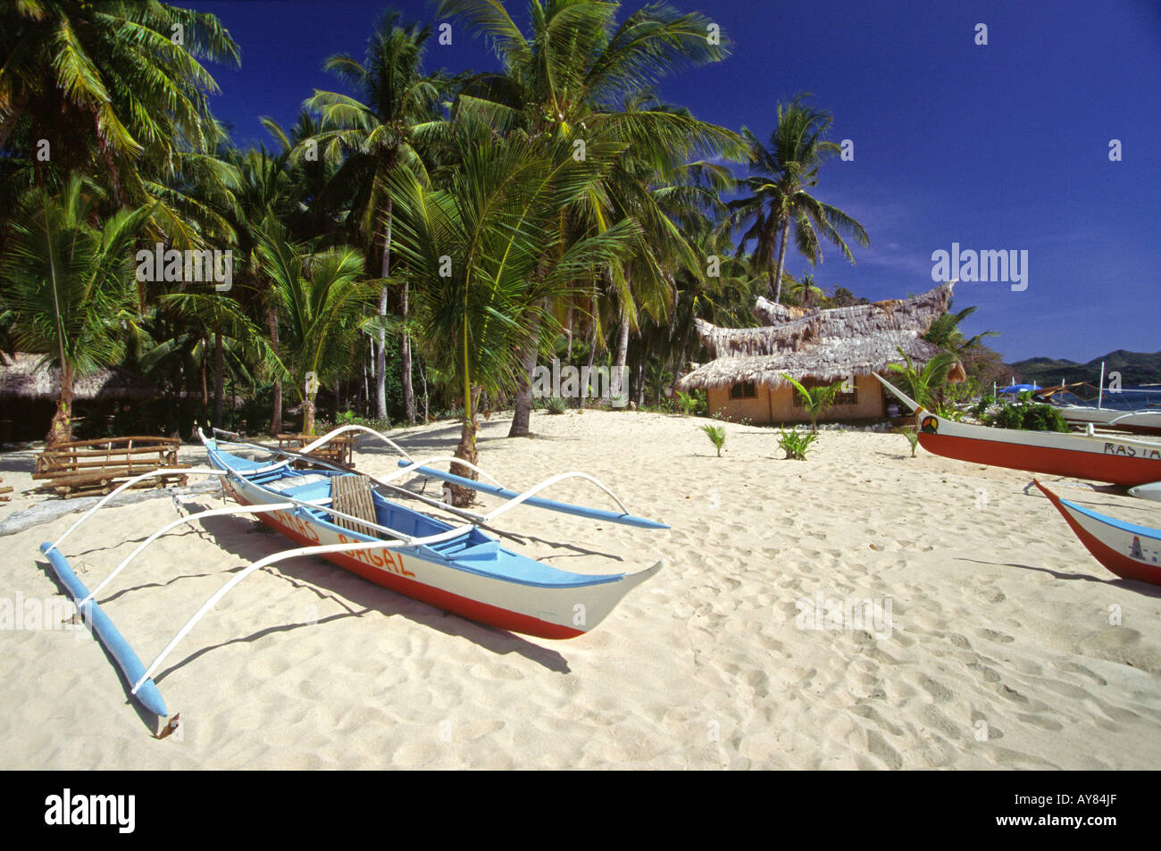 Philippines Palawan Flowers Island beach Stock Photo Alamy