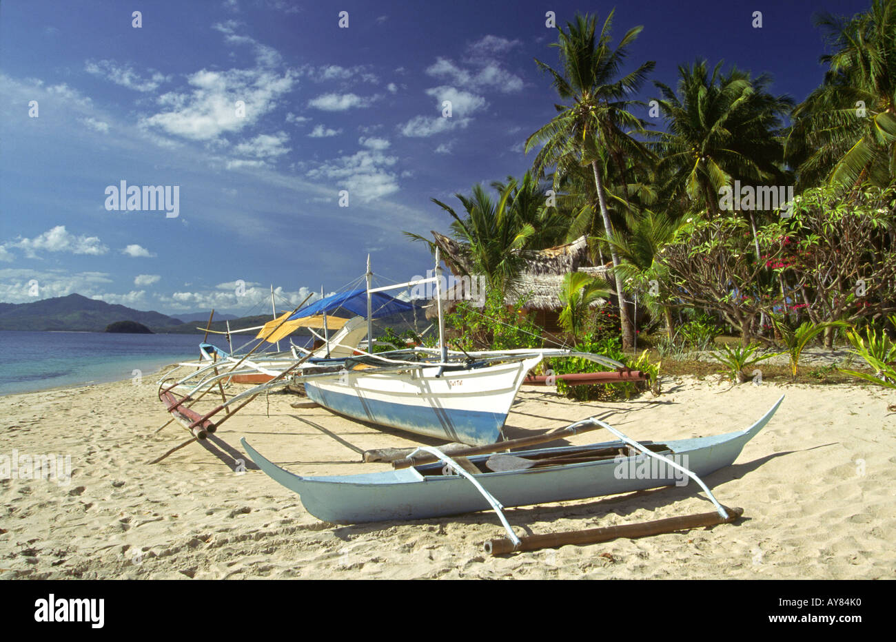 Philippines Palawan Flowers Island beach Stock Photo Alamy