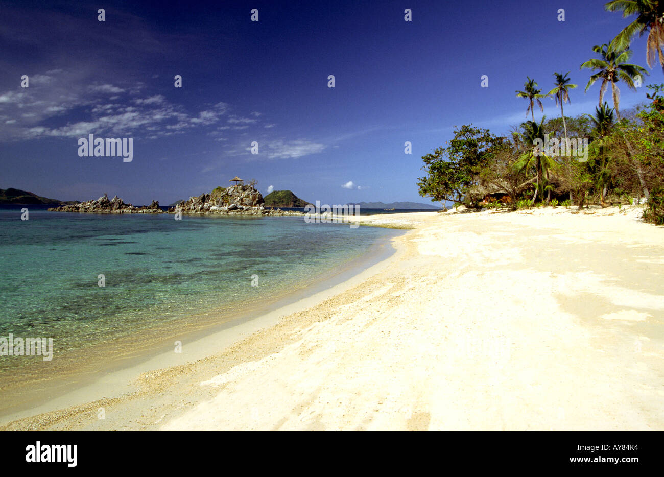 Philippines Palawan Flowers Island beach Stock Photo Alamy