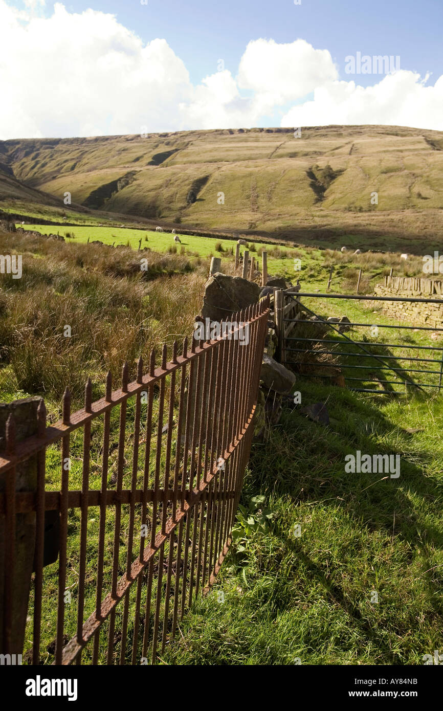 Grazing erosion sheep hires stock photography and images Alamy