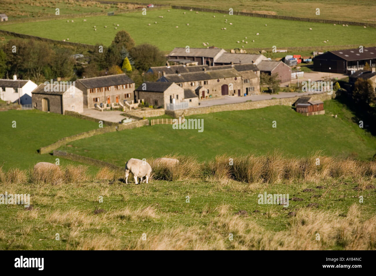 Concversion hires stock photography and images Alamy